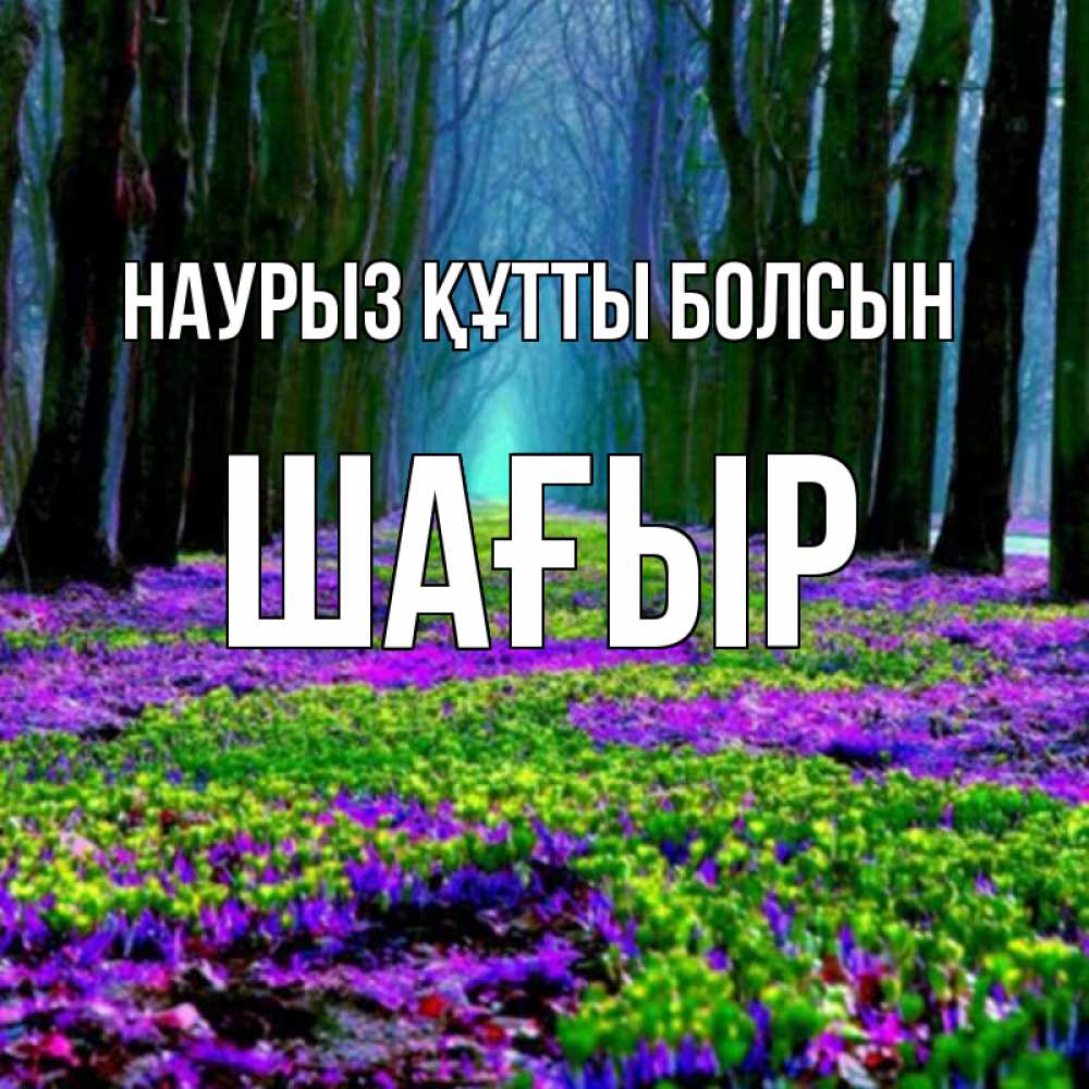 Күн сайын ашық хат с именем, ШАҒЫР Наурыз құтты болсын фиолетовые цветы в лесу 1 Онлайн тегін жүктеп алу тілектері бар керемет карта 