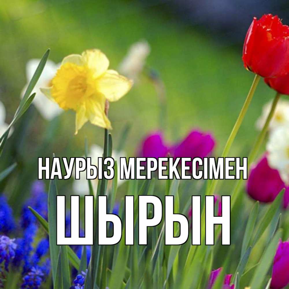 Күн сайын ашық хат с именем, ШЫРЫН Наурыз мерекесімен праздник весны наурыз 3 Онлайн тегін жүктеп алу тілектері бар керемет карта 