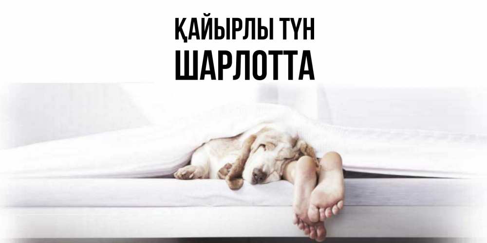 Күн сайын ашық хат с именем, Шарлотта Қайырлы түн кровать с собакой пожелание сладких снов и спокойной ночи Онлайн тегін жүктеп алу тілектері бар керемет карта 