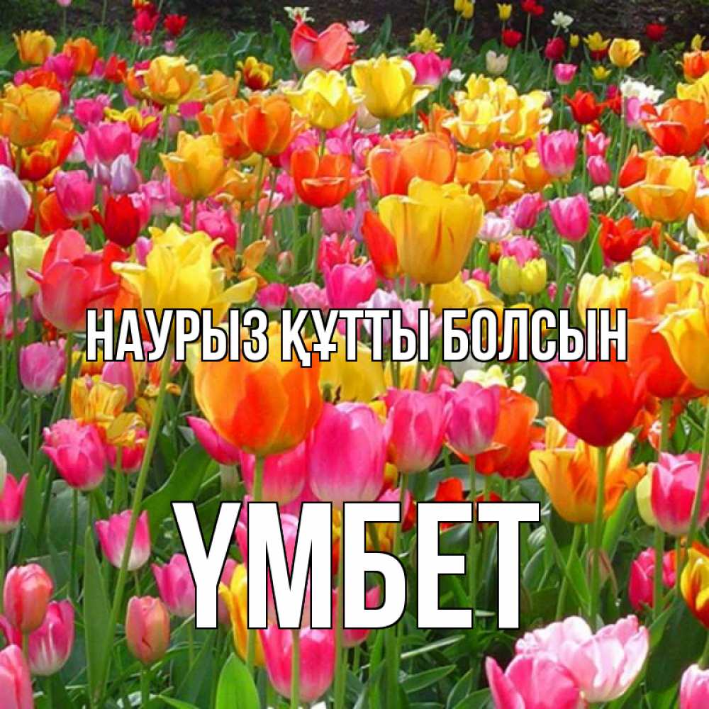 Күн сайын ашық хат с именем, ҮМБЕТ Наурыз құтты болсын на наурыз  ура ура Онлайн тегін жүктеп алу тілектері бар керемет карта 