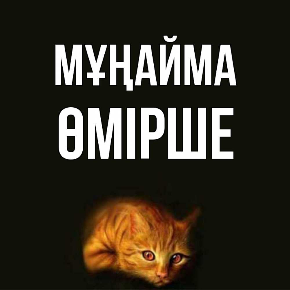 Күн сайын ашық хат с именем, ӨМІРШЕ Мұңайма лежащий кот в темноте Онлайн тегін жүктеп алу тілектері бар керемет карта 