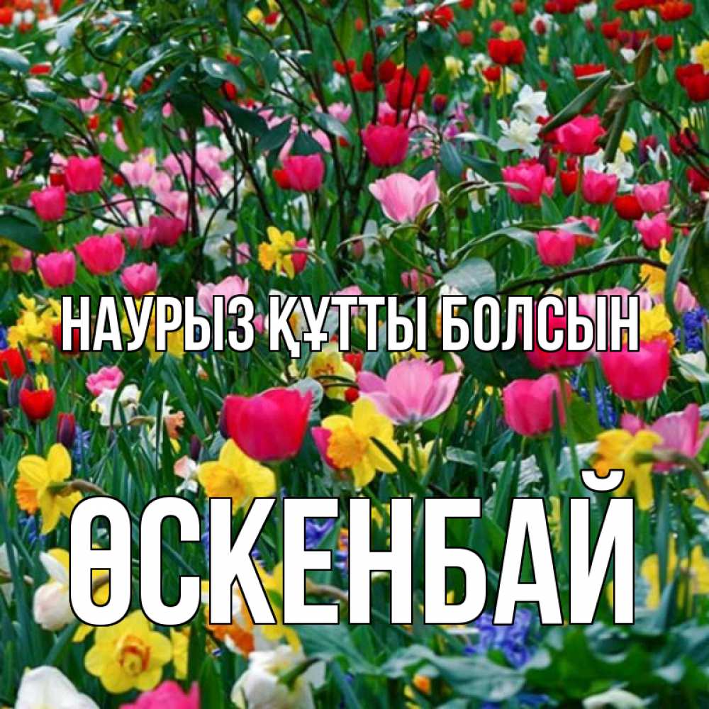 Күн сайын ашық хат с именем, ӨСКЕНБАЙ Наурыз құтты болсын с наурызом поздравления для женщины Онлайн тегін жүктеп алу тілектері бар керемет карта 