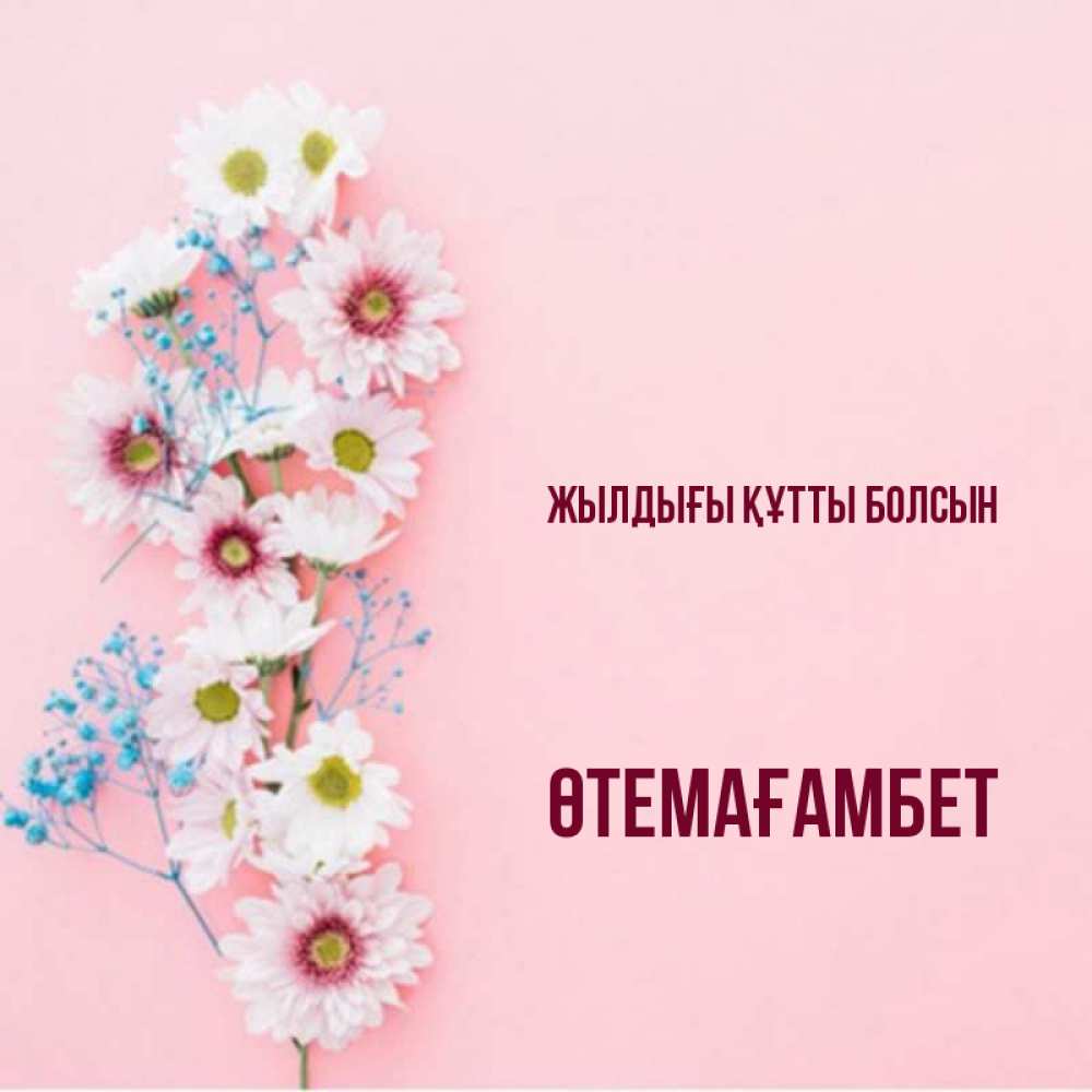 Күн сайын ашық хат с именем, ӨТЕМАҒАМБЕТ Жылдығы құтты болсын Родная моя с днем рождения тебя картинка с цветами белыми и голубыми Онлайн тегін жүктеп алу тілектері бар керемет карта 