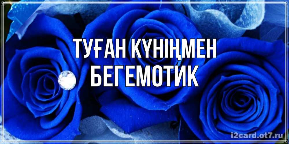 Күн сайын ашық хат с именем, Бегемотик Туған күніңмен синие розы в росе Онлайн тегін жүктеп алу тілектері бар керемет карта 