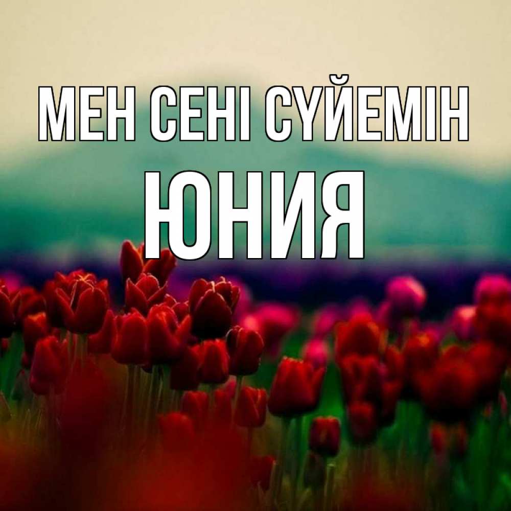 Күн сайын ашық хат с именем, Юния Мен сені сүйемін тюльпаны 4 Онлайн тегін жүктеп алу тілектері бар керемет карта 