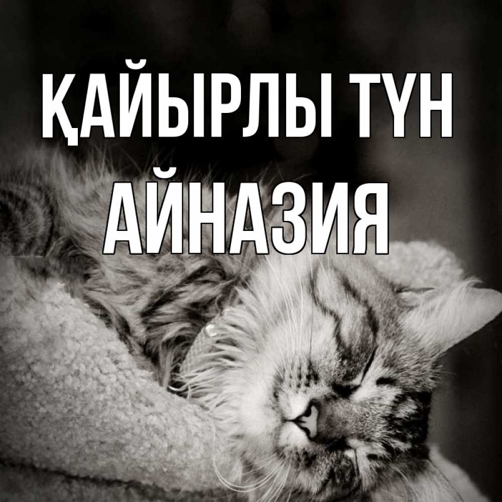 Күн сайын ашық хат с именем, Айназия Қайырлы түн котярик пушистый Онлайн тегін жүктеп алу тілектері бар керемет карта 