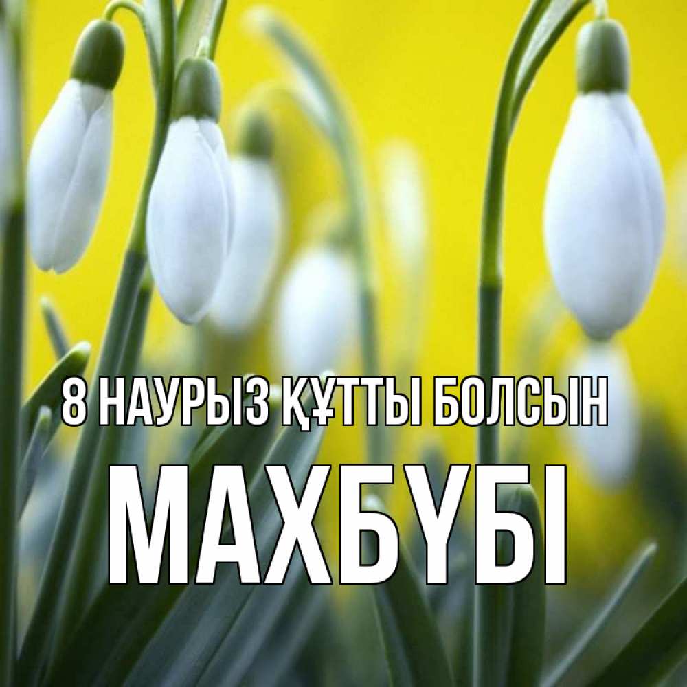 Күн сайын ашық хат с именем, МАХБҮБІ 8 наурыз құтты болсын весенние цветы Онлайн тегін жүктеп алу тілектері бар керемет карта 