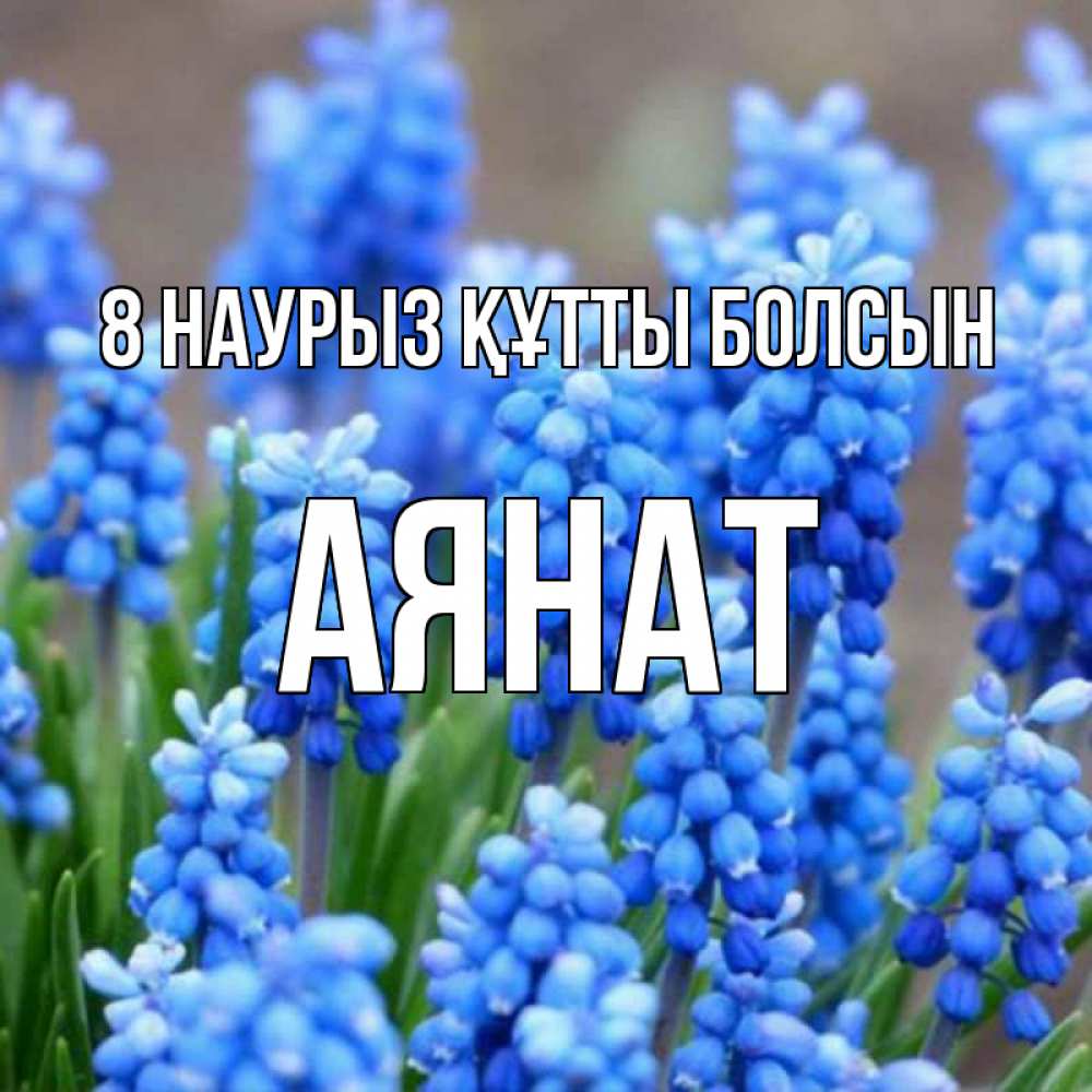 Күн сайын ашық хат с именем, АЯНАТ 8 наурыз құтты болсын Поздравительная открытка для женщин с цветами на праздничную дату Онлайн тегін жүктеп алу тілектері бар керемет карта 