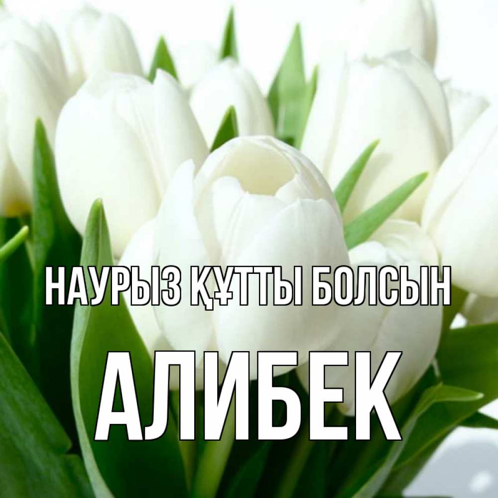 Күн сайын ашық хат с именем, Алибек Наурыз құтты болсын цветы Онлайн тегін жүктеп алу тілектері бар керемет карта 