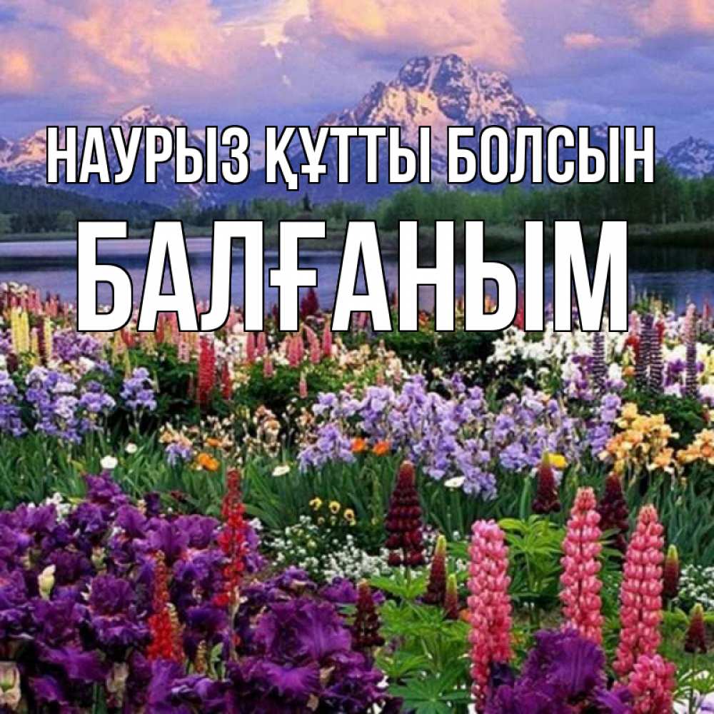 Күн сайын ашық хат с именем, БАЛҒАНЫМ Наурыз құтты болсын наурыз Онлайн тегін жүктеп алу тілектері бар керемет карта 