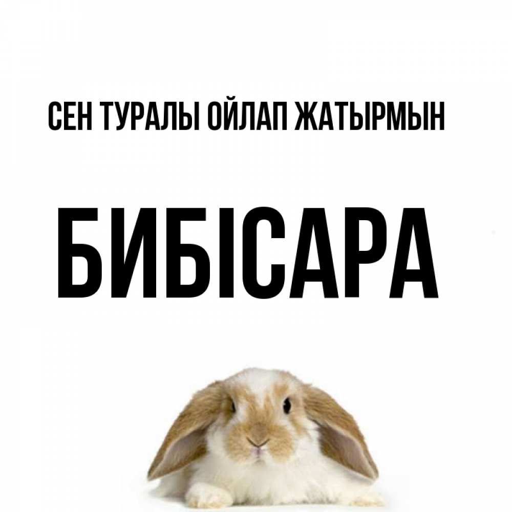 Күн сайын ашық хат с именем, БИБІСАРА Сен туралы ойлап жатырмын подписать своими руками онлайн Онлайн тегін жүктеп алу тілектері бар керемет карта 