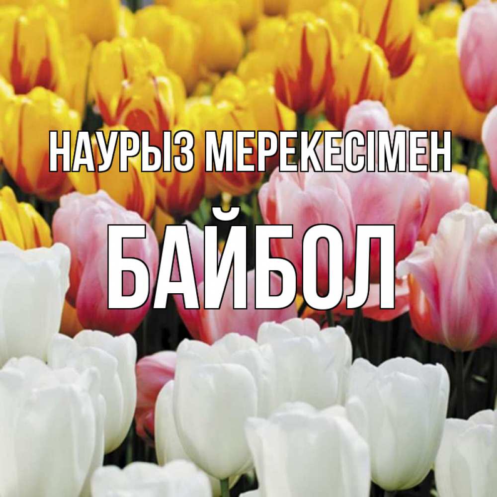 Күн сайын ашық хат с именем, Байбол Наурыз мерекесімен разноцветные цветы Онлайн тегін жүктеп алу тілектері бар керемет карта 