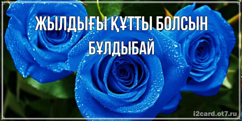 Күн сайын ашық хат с именем, Бұлдыбай Жылдығы құтты болсын розы с синим цветом Онлайн тегін жүктеп алу тілектері бар керемет карта 