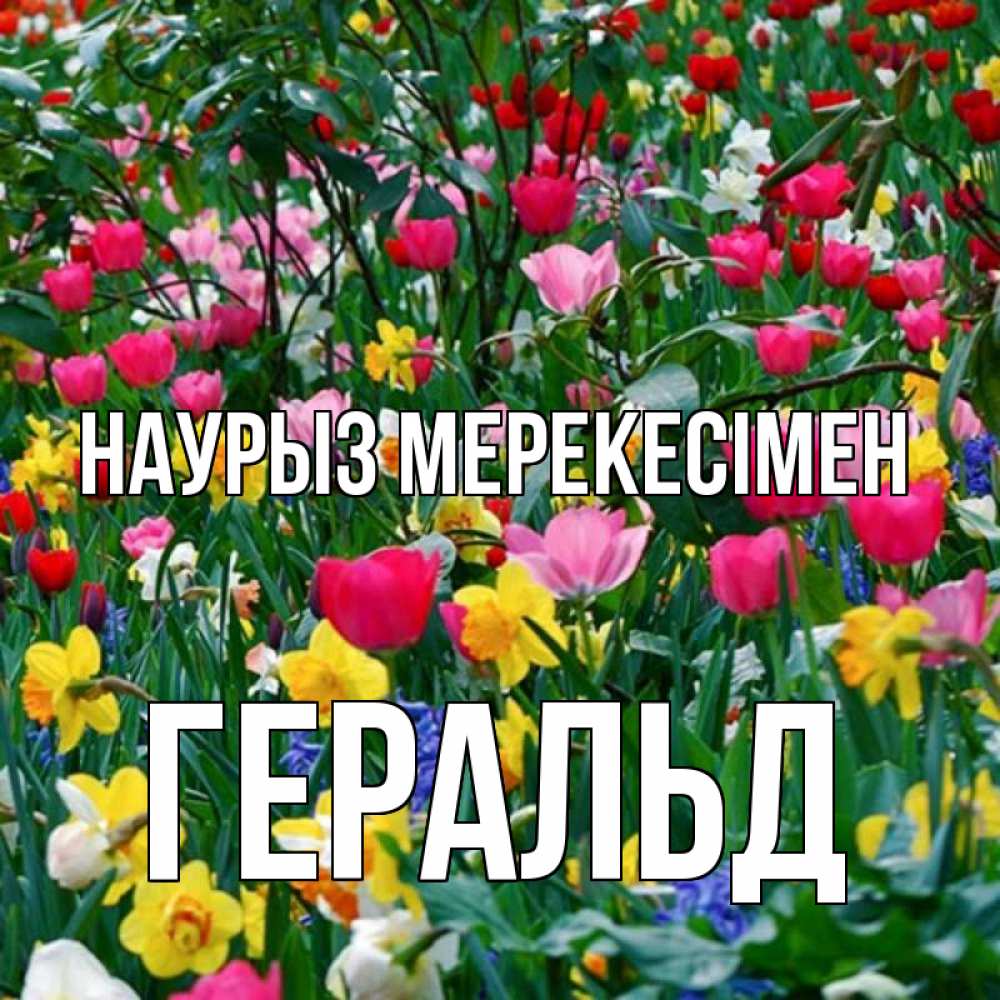 Күн сайын ашық хат с именем, Геральд Наурыз мерекесімен с наурызом праздником весны поздравления для женщины Онлайн тегін жүктеп алу тілектері бар керемет карта 