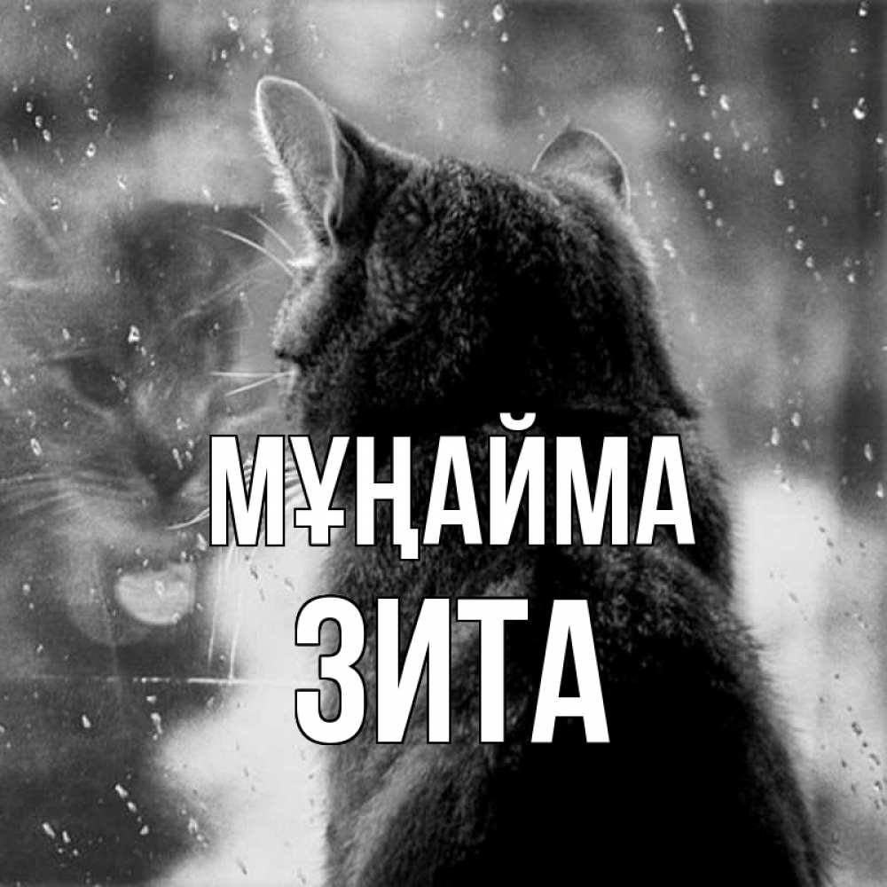 Күн сайын ашық хат с именем, Зита Мұңайма отражение кота 1 Онлайн тегін жүктеп алу тілектері бар керемет карта 