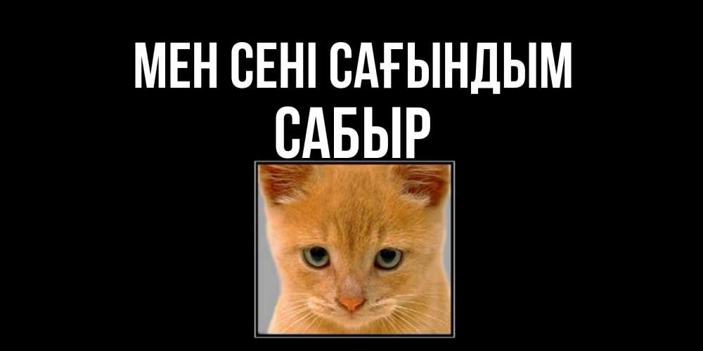 Күн сайын ашық хат с именем, САБЫР Мен сені сағындым открытки рыжий котенок скучает по тебе Онлайн тегін жүктеп алу тілектері бар керемет карта 