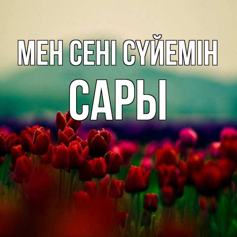 Күн сайын ашық хат с именем, САРЫ Мен сені сүйемін тюльпаны 4 Онлайн тегін жүктеп алу тілектері бар керемет карта 