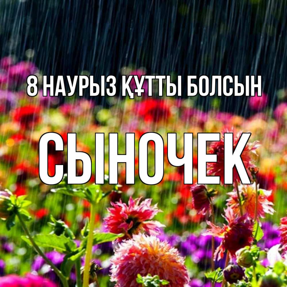 Күн сайын ашық хат с именем, Сыночек 8 наурыз құтты болсын цветы под дождиком к международному женскому дню Онлайн тегін жүктеп алу тілектері бар керемет карта 