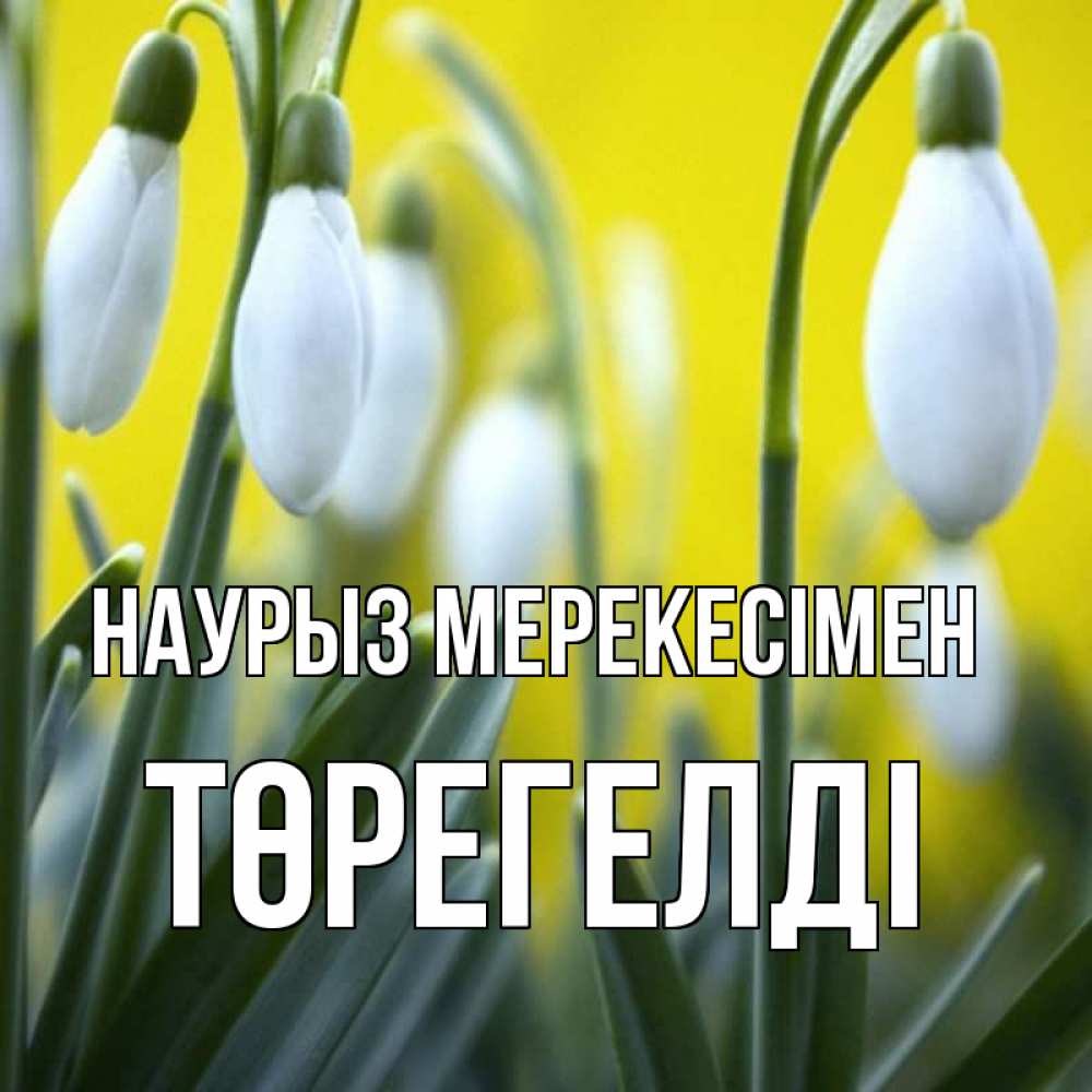 Күн сайын ашық хат с именем, Төрегелді Наурыз мерекесімен весенние цветы Онлайн тегін жүктеп алу тілектері бар керемет карта 