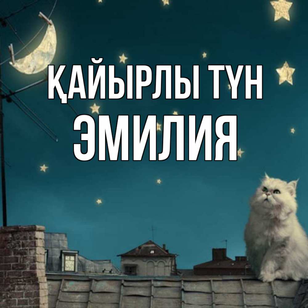 Күн сайын ашық хат с именем, Эмилия Қайырлы түн белый кот сидит на крыше Онлайн тегін жүктеп алу тілектері бар керемет карта 