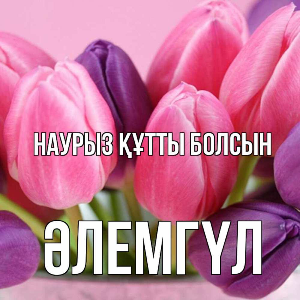 Күн сайын ашық хат с именем, ӘЛЕМГҮЛ Наурыз құтты болсын маме 1 Онлайн тегін жүктеп алу тілектері бар керемет карта 