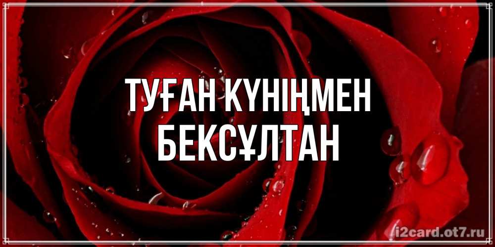 Күн сайын ашық хат с именем, Бексұлтан Туған күніңмен крупная бордовая роза Онлайн тегін жүктеп алу тілектері бар керемет карта 