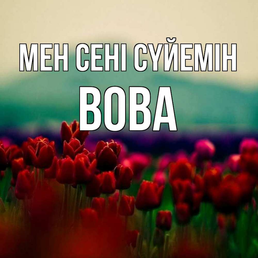 Күн сайын ашық хат с именем, Вова Мен сені сүйемін тюльпаны 4 Онлайн тегін жүктеп алу тілектері бар керемет карта 