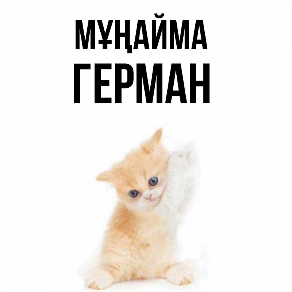 Күн сайын ашық хат с именем, Герман Мұңайма просящий кот Онлайн тегін жүктеп алу тілектері бар керемет карта 