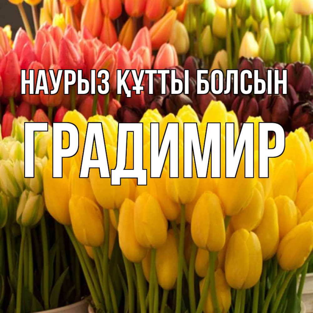 Күн сайын ашық хат с именем, Градимир Наурыз құтты болсын цветы Онлайн тегін жүктеп алу тілектері бар керемет карта 