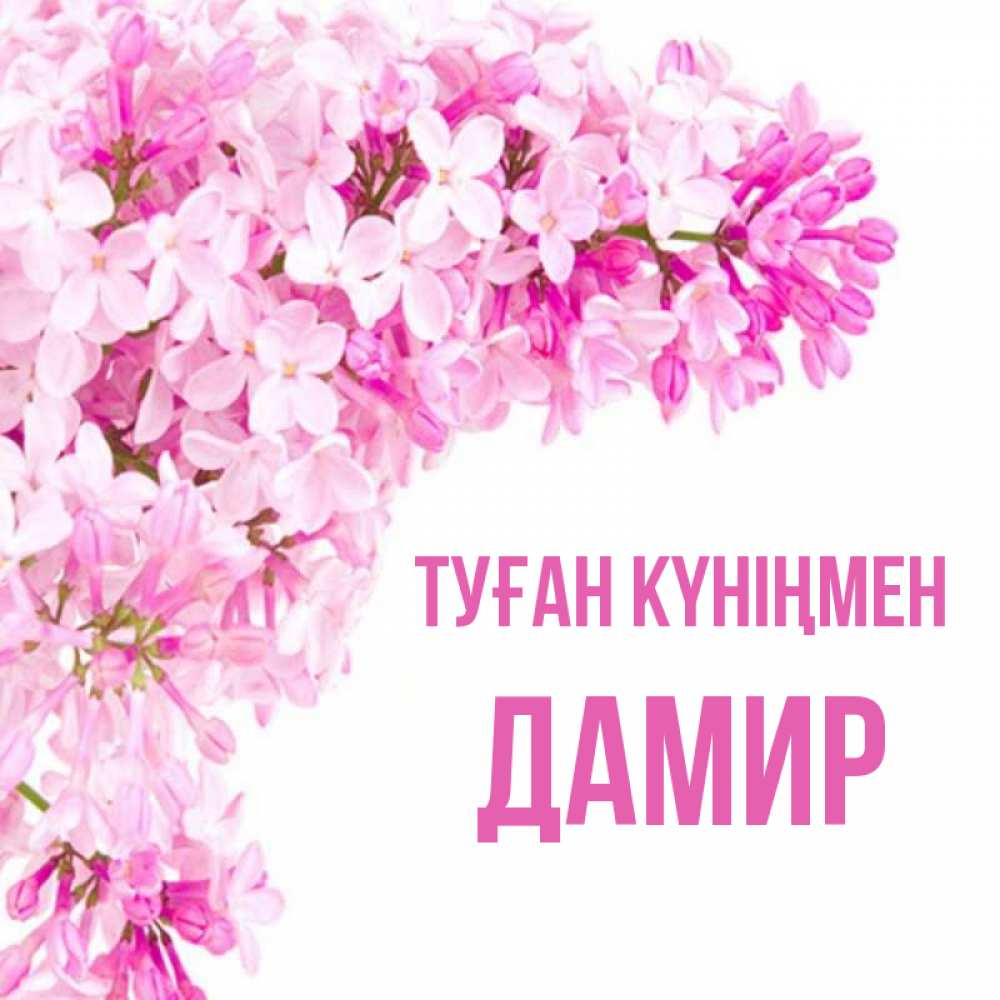 Күн сайын ашық хат с именем, Дамир Туған күніңмен Сирень на белом фоне Онлайн тегін жүктеп алу тілектері бар керемет карта 