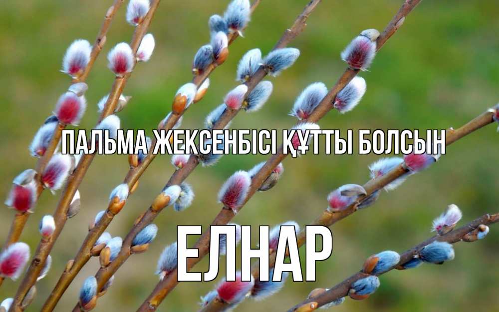 Күн сайын ашық хат с именем, Елнар Пальма жексенбісі құтты болсын верба Онлайн тегін жүктеп алу тілектері бар керемет карта 