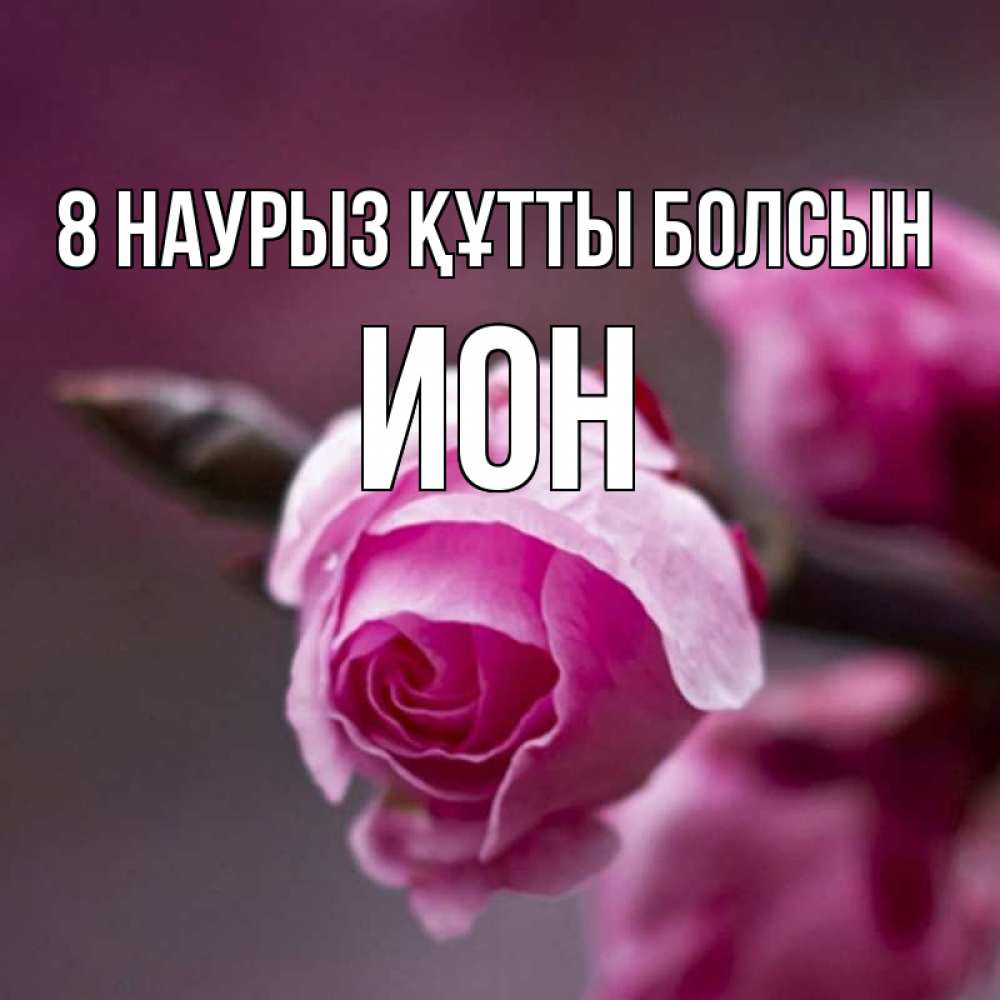 Күн сайын ашық хат с именем, Ион 8 наурыз құтты болсын весна Онлайн тегін жүктеп алу тілектері бар керемет карта 