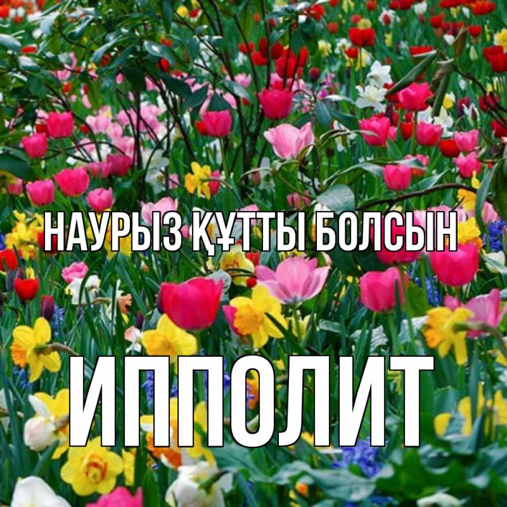 Күн сайын ашық хат с именем, Ипполит Наурыз құтты болсын с наурызом поздравления для женщины Онлайн тегін жүктеп алу тілектері бар керемет карта 