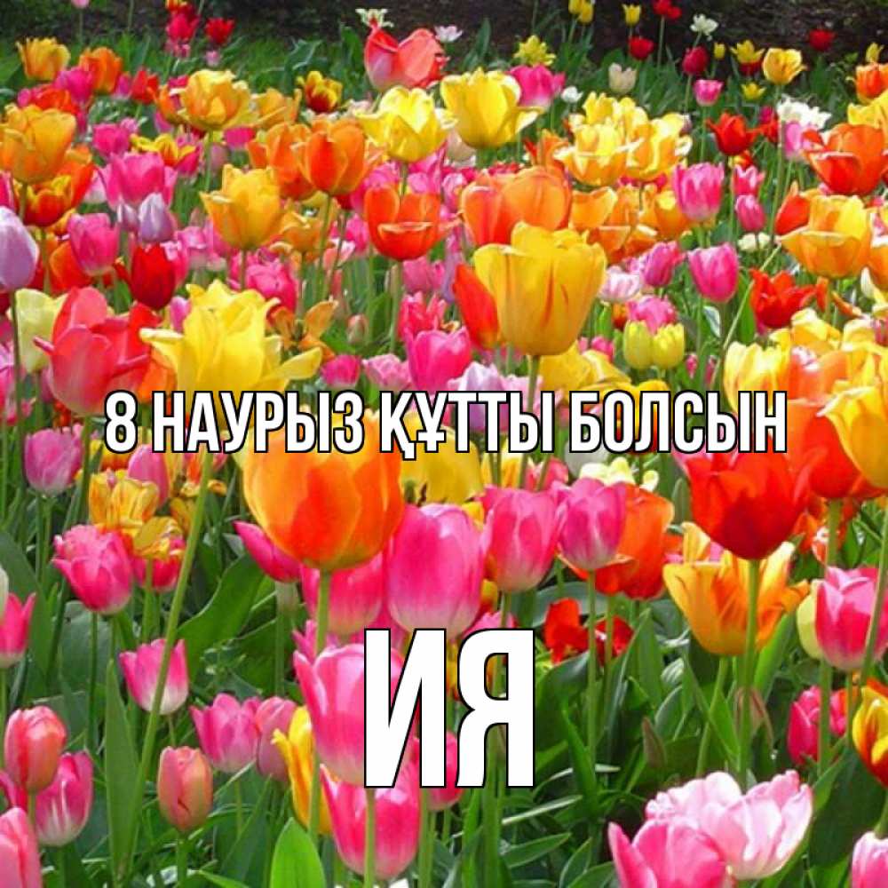 Күн сайын ашық хат с именем, Ия 8 наурыз құтты болсын на международный женский день Онлайн тегін жүктеп алу тілектері бар керемет карта 