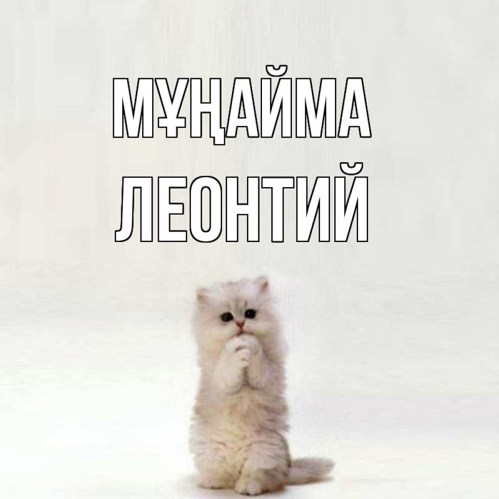 Күн сайын ашық хат с именем, Леонтий Мұңайма грустный кот Онлайн тегін жүктеп алу тілектері бар керемет карта 