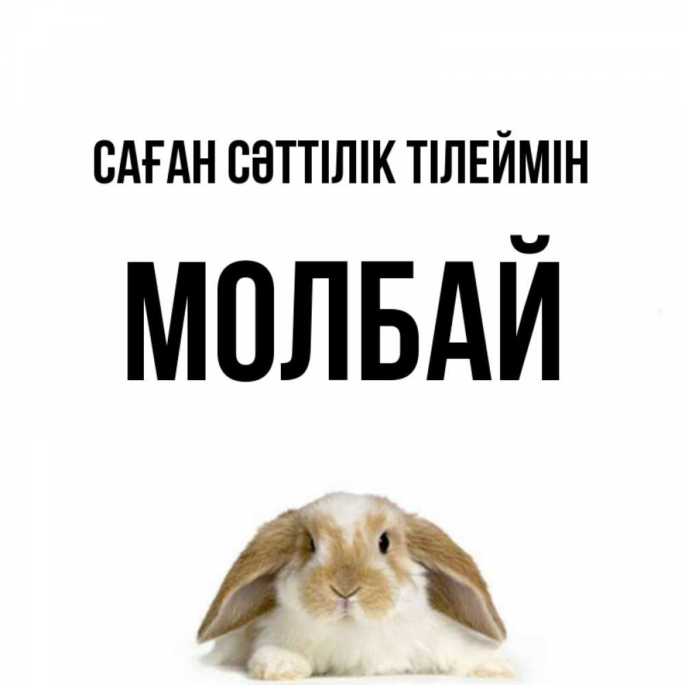 Күн сайын ашық хат с именем, МОЛБАЙ Саған сәттілік тілеймін открытки с произвольным текстом который можно вставить в открытку и создать ее самостоятельно бесплатно онлайн Онлайн тегін жүктеп алу тілектері бар керемет карта 