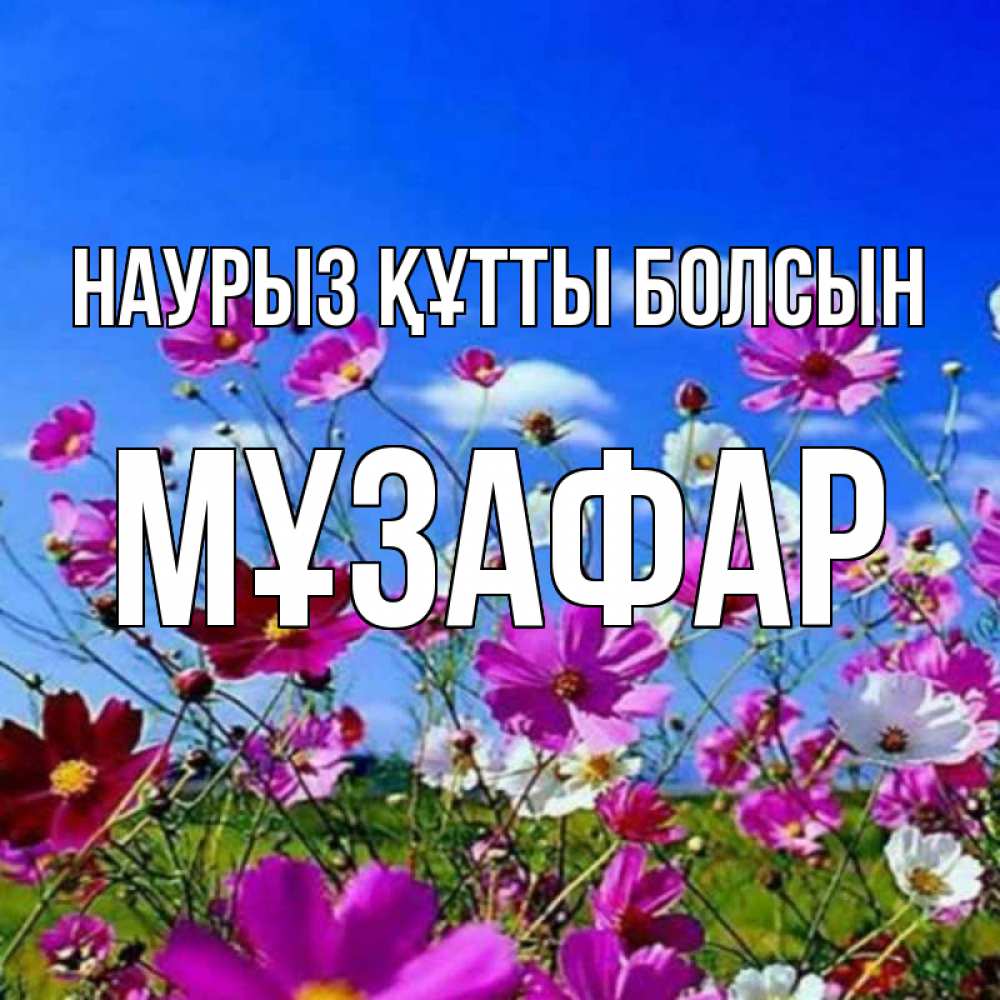 Күн сайын ашық хат с именем, МҰЗАФАР Наурыз құтты болсын цветы Онлайн тегін жүктеп алу тілектері бар керемет карта 