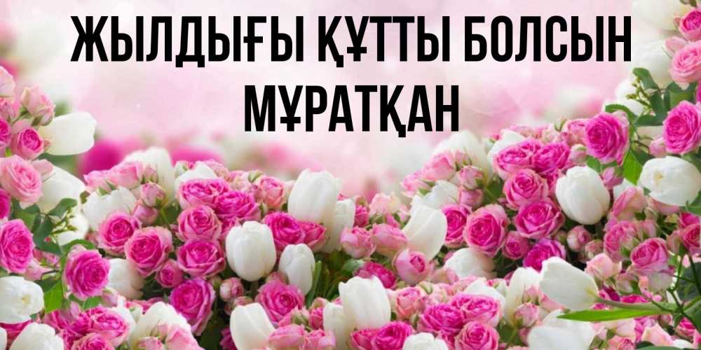 Күн сайын ашық хат с именем, Мұратқан Жылдығы құтты болсын открытка с разными розами Онлайн тегін жүктеп алу тілектері бар керемет карта 