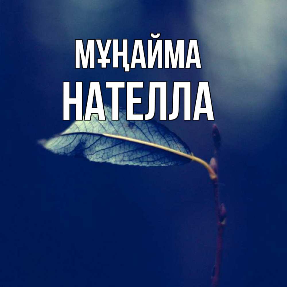 Күн сайын ашық хат с именем, Нателла Мұңайма растение Онлайн тегін жүктеп алу тілектері бар керемет карта 