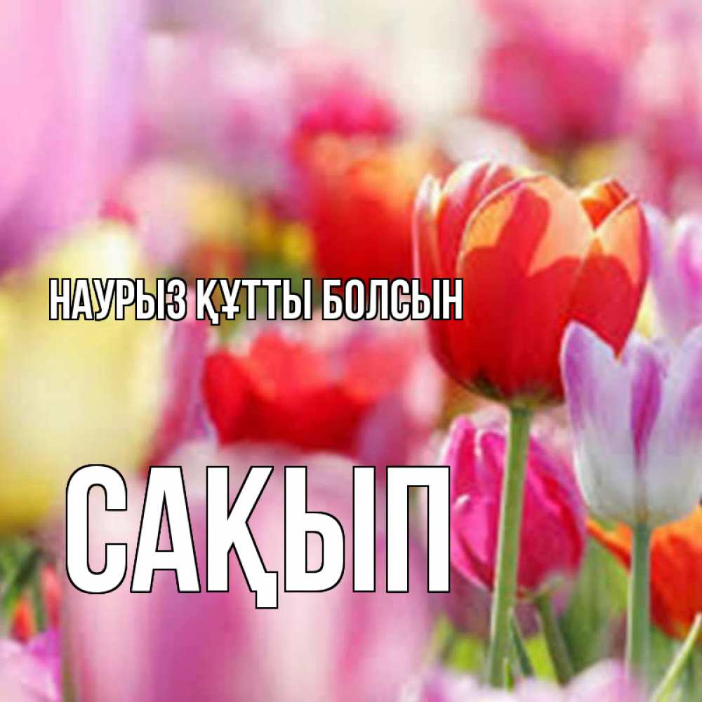 Күн сайын ашық хат с именем, САҚЫП Наурыз құтты болсын на наурыз  2 Онлайн тегін жүктеп алу тілектері бар керемет карта 
