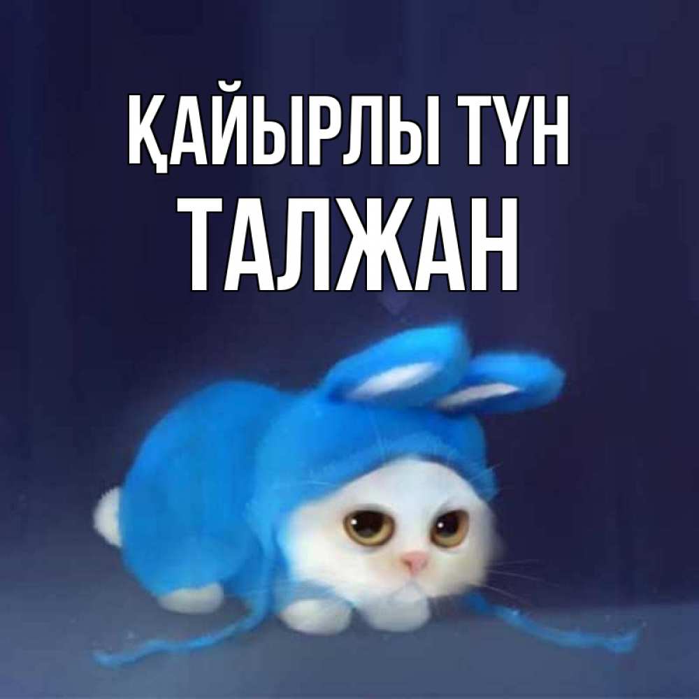 Күн сайын ашық хат с именем, ТАЛЖАН Қайырлы түн кот в голубом костюме кролика с ушками Онлайн тегін жүктеп алу тілектері бар керемет карта 