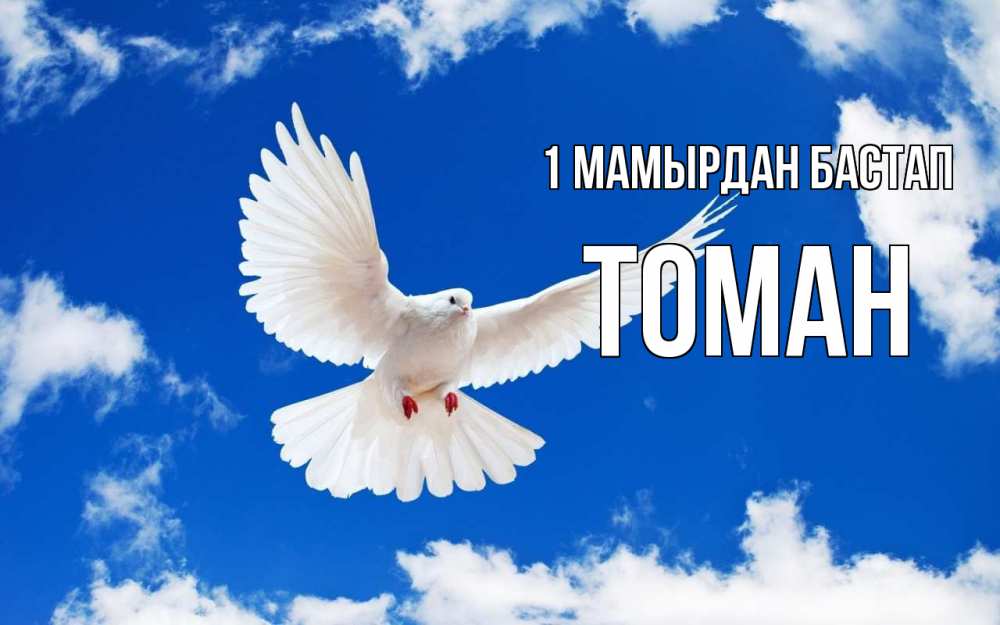 Күн сайын ашық хат с именем, ТОМАН 1 мамырдан бастап С 1 мая 1 Онлайн тегін жүктеп алу тілектері бар керемет карта 