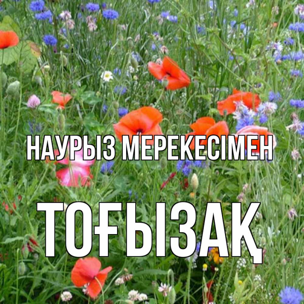Күн сайын ашық хат с именем, ТОҒЫЗАҚ Наурыз мерекесімен праздник весны наурыз супер открытка Онлайн тегін жүктеп алу тілектері бар керемет карта 