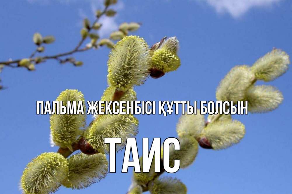 Күн сайын ашық хат с именем, Таис Пальма жексенбісі құтты болсын верба Онлайн тегін жүктеп алу тілектері бар керемет карта 