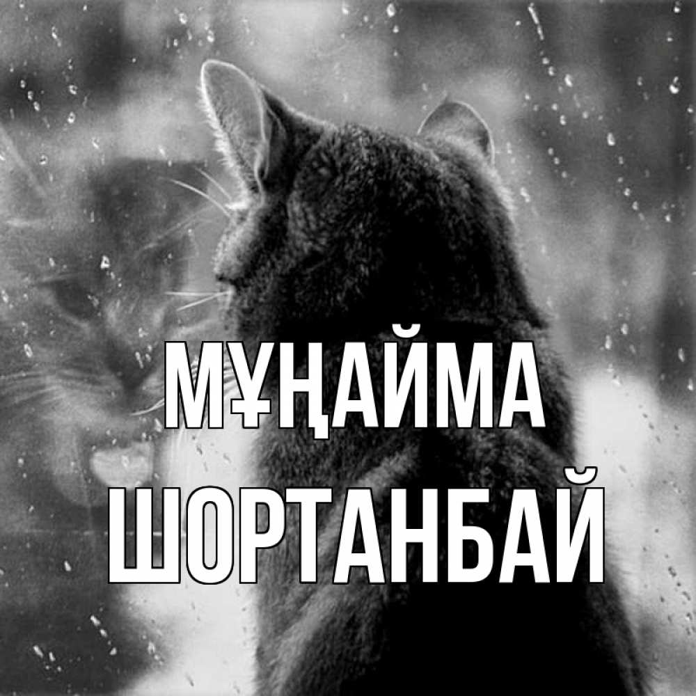 Күн сайын ашық хат с именем, ШОРТАНБАЙ Мұңайма отражение кота 1 Онлайн тегін жүктеп алу тілектері бар керемет карта 