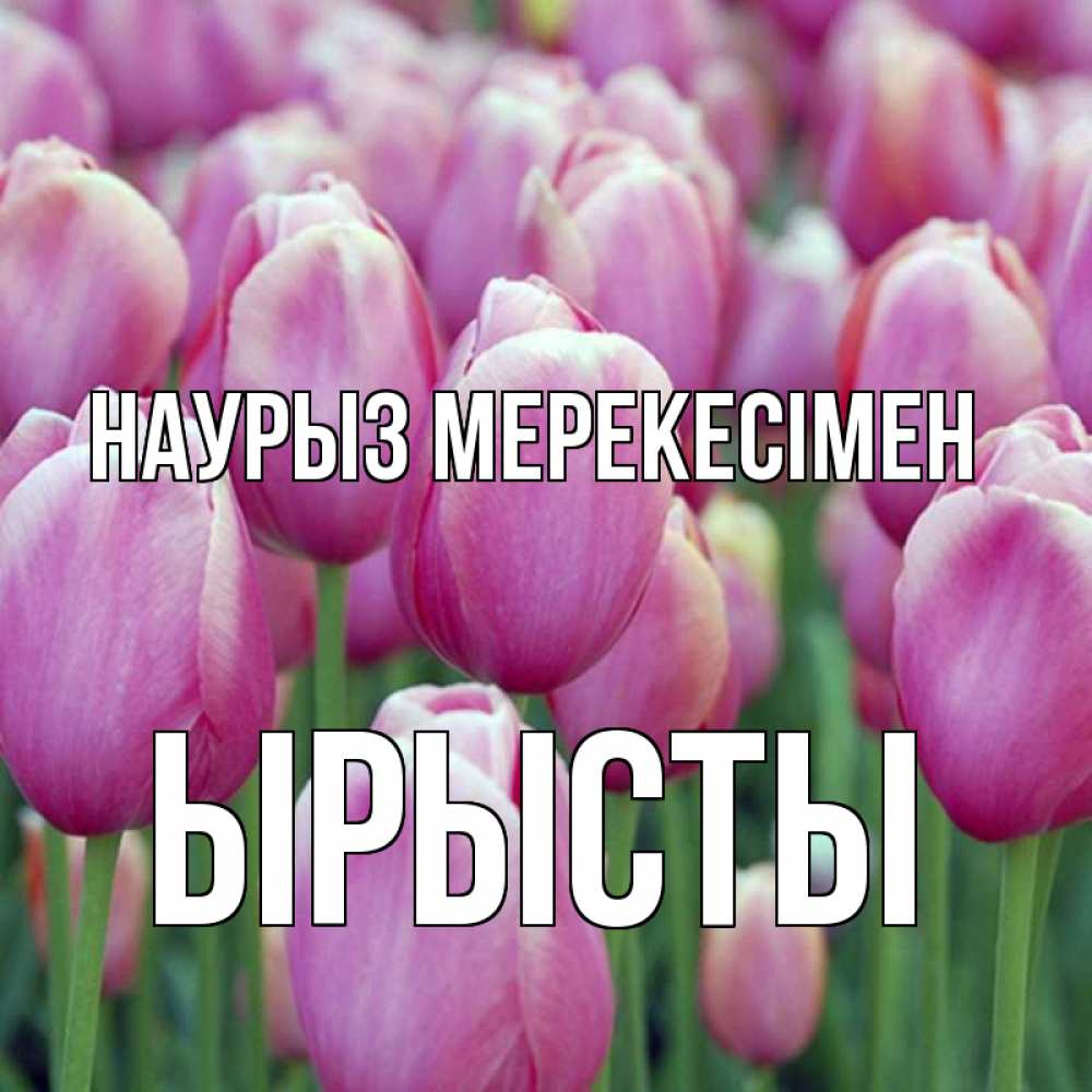 Күн сайын ашық хат с именем, ЫРЫСТЫ Наурыз мерекесімен праздник весны наурыз 69 Онлайн тегін жүктеп алу тілектері бар керемет карта 