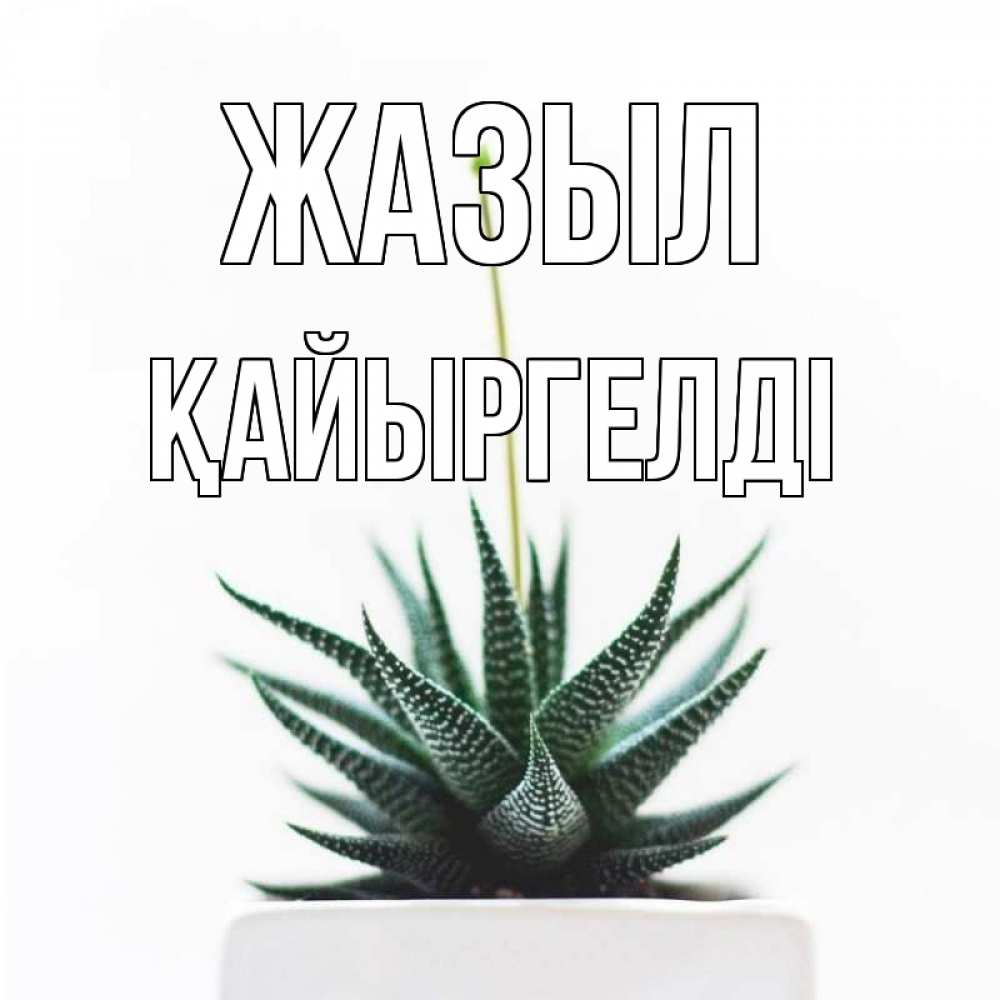 Күн сайын ашық хат с именем, Қайыргелді Жазыл короче это непонятная колючка Онлайн тегін жүктеп алу тілектері бар керемет карта 