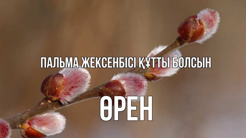 Күн сайын ашық хат с именем, ӨРЕН Пальма жексенбісі құтты болсын верба Онлайн тегін жүктеп алу тілектері бар керемет карта 
