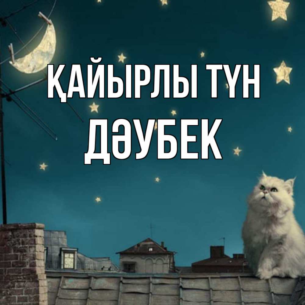 Күн сайын ашық хат с именем, Дәубек Қайырлы түн белый кот сидит на крыше Онлайн тегін жүктеп алу тілектері бар керемет карта 