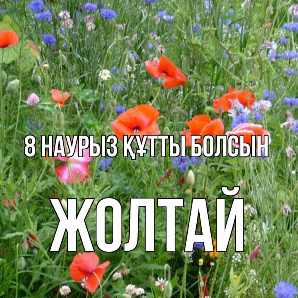 Күн сайын ашық хат с именем, Жолтай 8 наурыз құтты болсын международный женский день 4 Онлайн тегін жүктеп алу тілектері бар керемет карта 